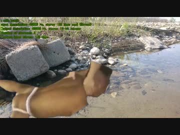 河原で遊ぶドラゴン田中b