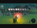 【実況】念願の「ゼルダの伝説 ブレスオブザワイルド」を楽しむゲイ【9】