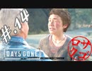 【DaysGone】ヘタレゴーン【初見実況】#.14