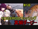 海から遠くても海釣りに行きたい⑤　ディープタイラバ