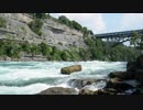 Pexels Videos 2019791　増田勝紀