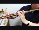 【おじさんだけど】ずっと真夜中でいいのに。 - "秒針を噛む" Flute cover【吹いてみた】