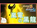 【ポケモンUSUM】嵐電の黒龍