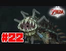 【実況】朽ちぬ闇、狼となりて薄明りの中馳せ参ずる【トワイライトプリンセスHD】Part22