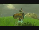 【実況】十五の掟で挑むブレスオブザワイルド～part.74～