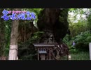【旅m＠s】水本ゆかりの名水探訪 静岡編 ②「神の大楠」　ゲスト：工藤忍