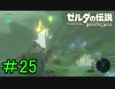 【実況】見落としが多い勇者の冒険part25【ブレスオブザワイルド】
