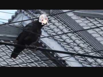 カラス（夜桜たま）