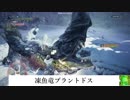 【ＭＨＷ】双剣でベータテスト【凍魚竜ブラントドス】をゆっくり討伐