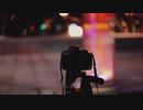 Pexels Videos 1672797　＠　國井洪