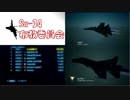Ace Combat 7 Multiplayer162  バトルロイヤル  Su-34 + HCAA