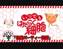 働かない人の細胞　「いつでもはたらく細胞」　19日目