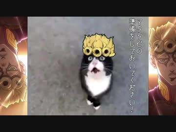 ワザップに騙されたにゃんこだけど、ねこ語だからわからない