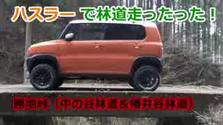 ハスラーで林道走ったった！③【勝地峠の中の谷林道＆椿井谷林道】