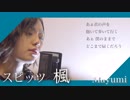 スピッツ(Spitz)『楓』歌ってみた◆Mayumi