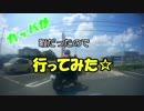 カッパが暇なのでついていってみた