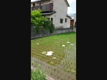 皇紀2679年6月26日(水)