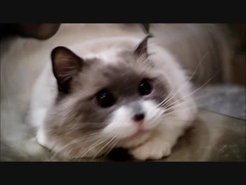 筒の中のキラキラお目目