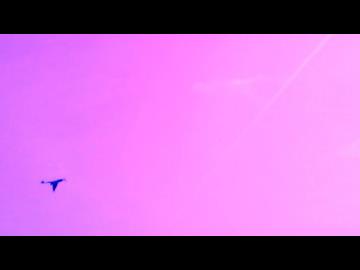 NightFury75　