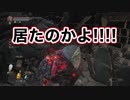 【第9話】女２人、ダクソ3。何も起きないはずがなく…