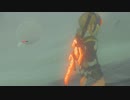往復してたら雪玉が転がってくるのでリザルフォスを雪玉で潰してみた