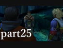 【実況】 FF10を沿う part25