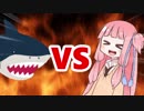 茜ちゃんVSサメ