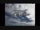 cocoro95魂に刻まれる