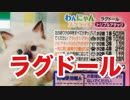 【新発売！】わんにゃんクラッチをぱんださんがやってみた！#114