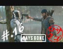【DaysGone】ヘタレゴーン【初見実況】#.16
