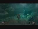 高難易度ゲーム隻狼を53のおっさんがやってみました。（FHD）#78