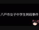 【ゆっくり朗読】ゆっくりさんと日本事件簿 その130