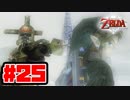 【実況】朽ちぬ闇、狼となりて薄明りの中馳せ参ずる【トワイライトプリンセスHD】Part25