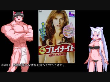 ゆっくりお安め映画レビュー４６：「お願い！プレイメイト」