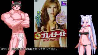 ゆっくりお安め映画レビュー４６：「お願い！プレイメイト」