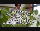 蓮友心さんのインタビュー動画『障害を持って生まれる意味』