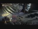 【ダークソウル３】　ロリ、ガード、パリィ禁止　ウォルニール