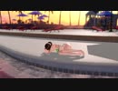 DOAX3Fortune 本日のグラビアパラダイス