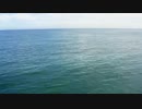 Whales_Drone　間嶋真