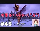 ラーの鏡にうつる真実【ドラゴンクエストビルダーズ２】： 45