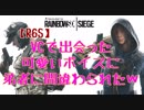 【R6S】VCで出会った可愛いボイスに弟者に間違わられたｗ