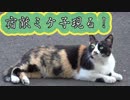宿敵ミケ子現る！