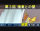 【ポケモンUSM】第3回 BossRush -3-【強者との壁】