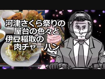 【車載・グルメ】【河津】メシと下道とスクーターとメシ