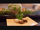寿司職人によるトリ貝の仕込みから握りまで〜How To Make Cockle Shell Sushi〜
