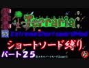 [Terraria+MOD]　ショートソード縛りEX パート２５　[ゆっくり実況]