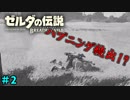【続編決定記念】のんびりと伝説「ゼルダの伝説～ブレスオブザワイルド～」　＃2