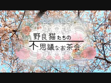 【KotonoSync】野良猫たちの不思議なお茶会【VOICEROIDカバー】