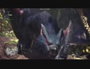【MHW:I】ナルガクルガ戦