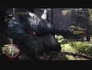 MHW アイスボーン体験版ナルガ戦